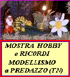  MOSTRA MODELLISMO 