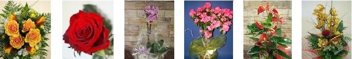 CON FLORENCE FIORI SPEDISCI FIORI E PIANTE IN TUTTA ITALIA 