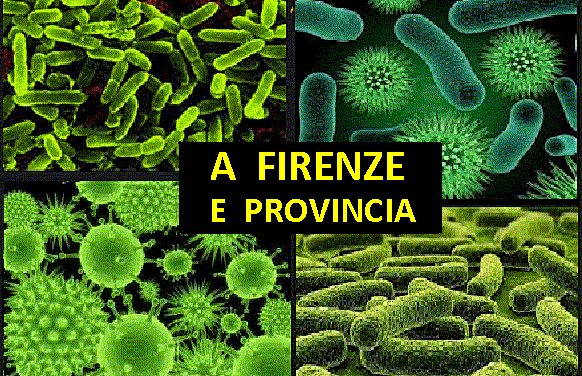 DISINFEZIONE, DISINFESTAZIONE, DERATTIZZAZIONE A FIRENZE