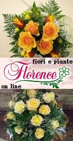 FIORI E PIANTE ON LINE
FLORENCE FIORI A DOMICILIO