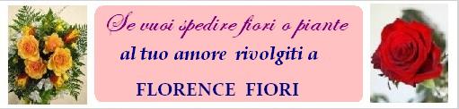Se vuoi spedire fiori o piante al tuo amore
Acquista rose rosse online da FLORENCE FIORI