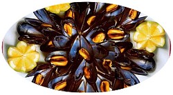 Cozze
