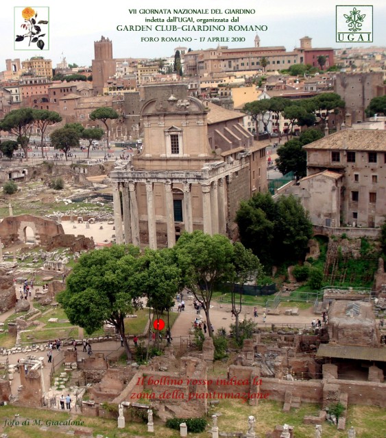  FORO ROMANO