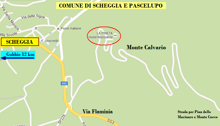 HOTEL LA PINETA A SCHEGGIA e PASCELUPO
