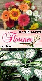  VENDITA FIORI ON LINE
CONSEGNA RAPIDA 