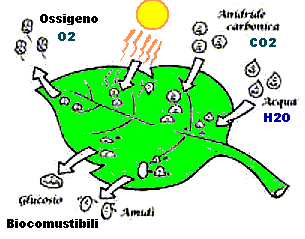 LA FOTOSINTESI ARTIFICIALE