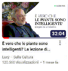 CONFERENZA RECENTE DI STEFANO MANCUSO SULL'INTELLIGENZA DELLE PIANTE 