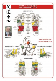 MAPPA DELLA RIFLESSOLOGIA PLANTARE