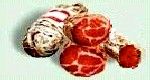 Antipasti