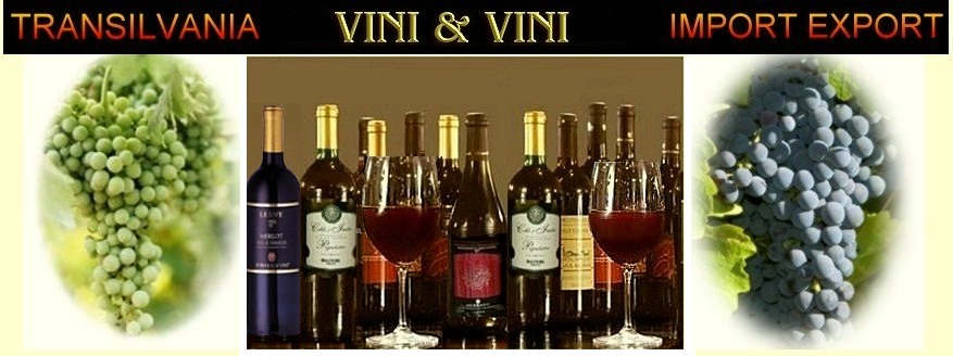 VINI e VINI